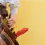 Handyman repair service in Rochester, NY for home fixes and improvements