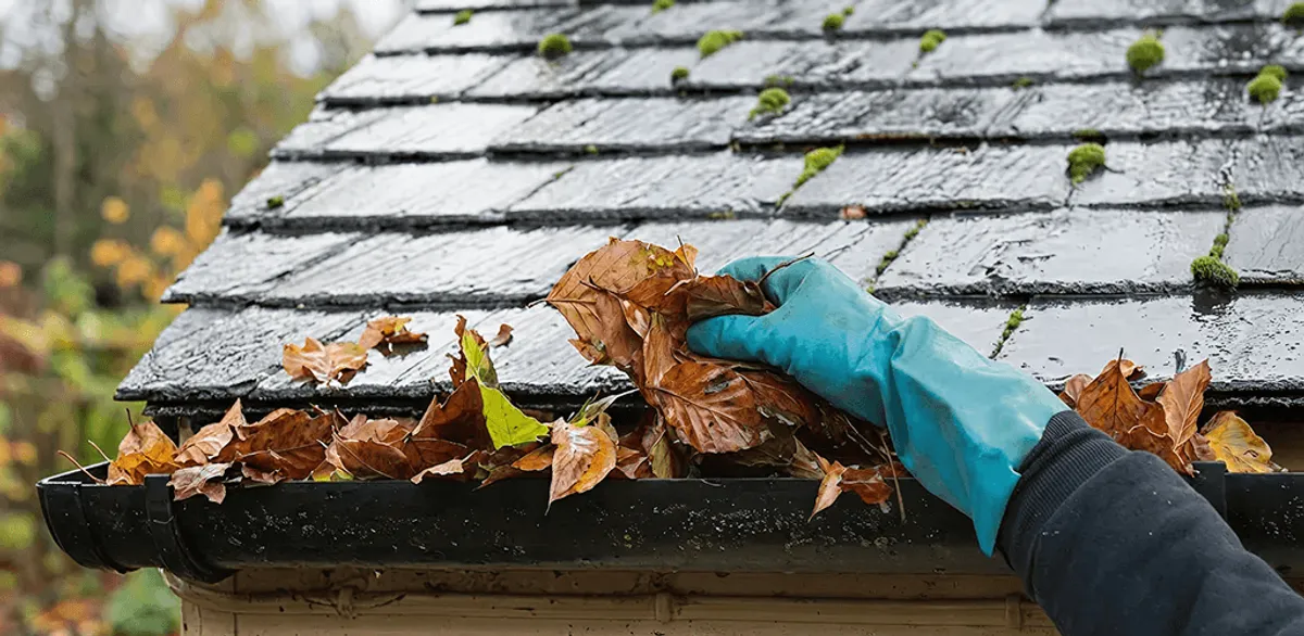 Gutter cleaning technician clearing wet leaves from roof gutters in Rochester, NY